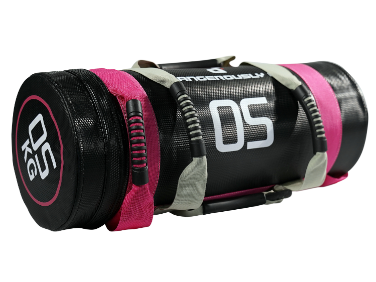 dangerously fit power bag
